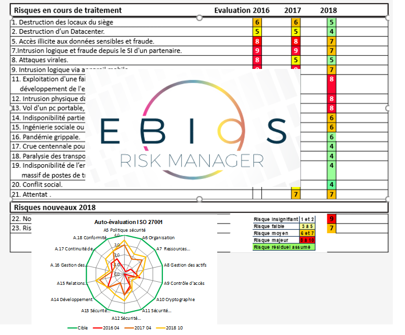 icaris conseil risk management